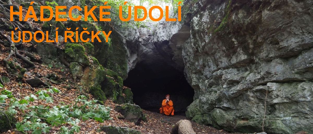 Švédův stůl